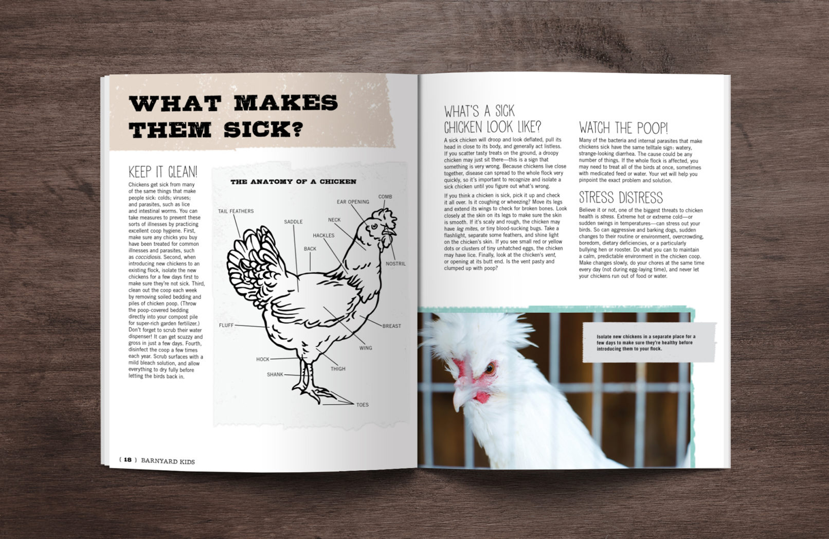 Barkyard kids spread