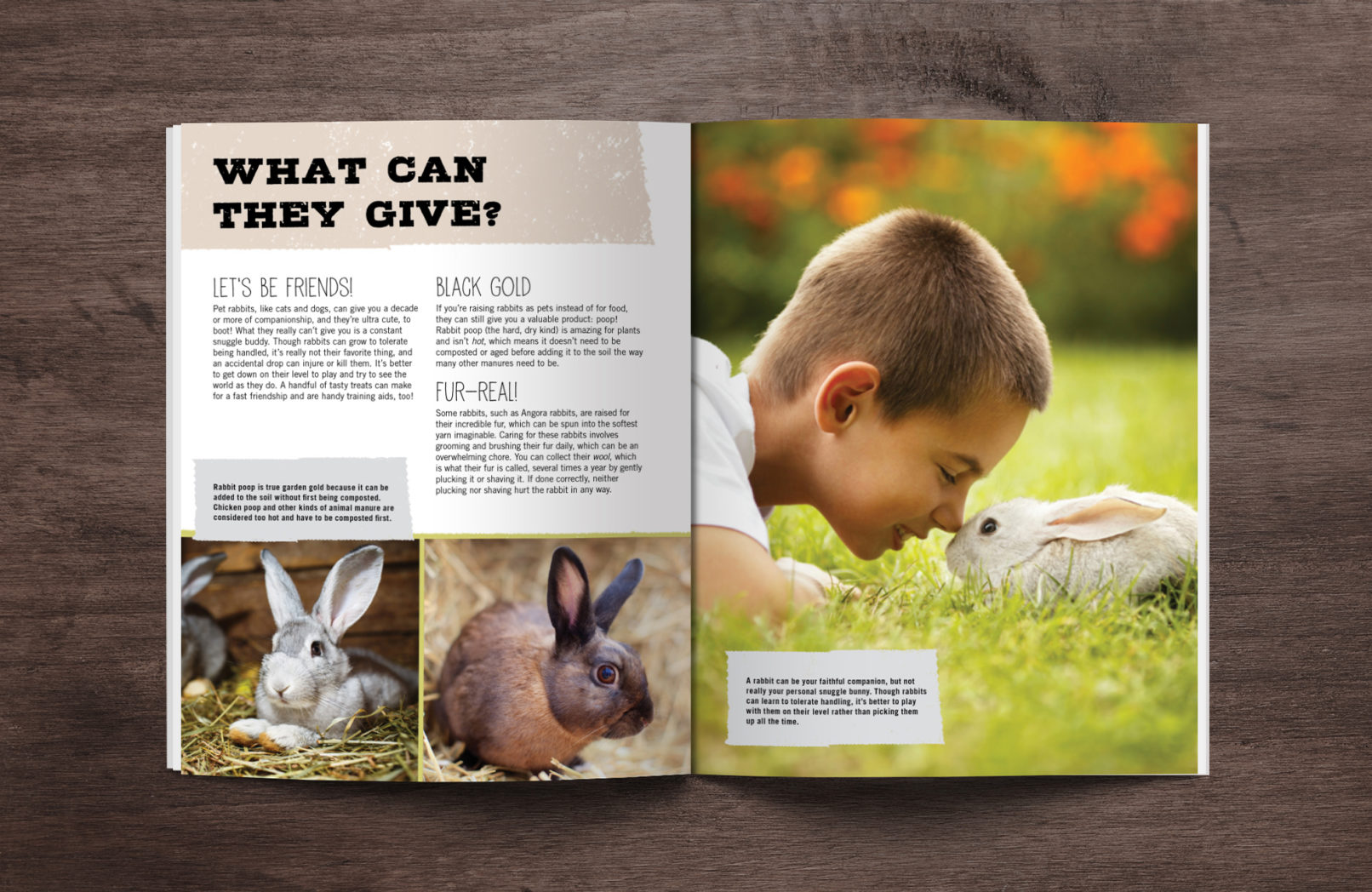 Barnyard kids book design by mattie wells