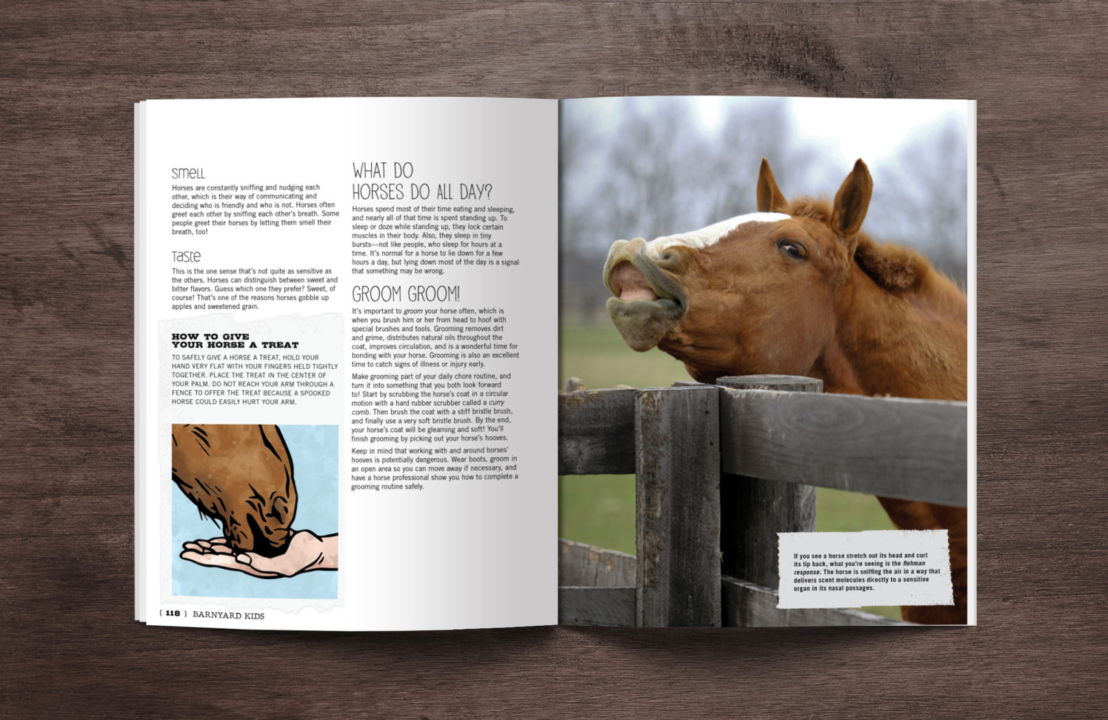 Barnyard kids book design by mattie wells