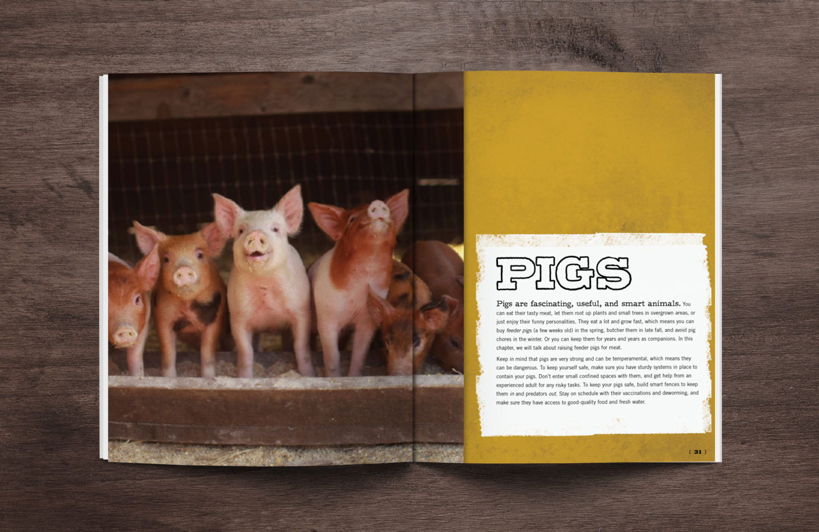 barnyard kids page layout