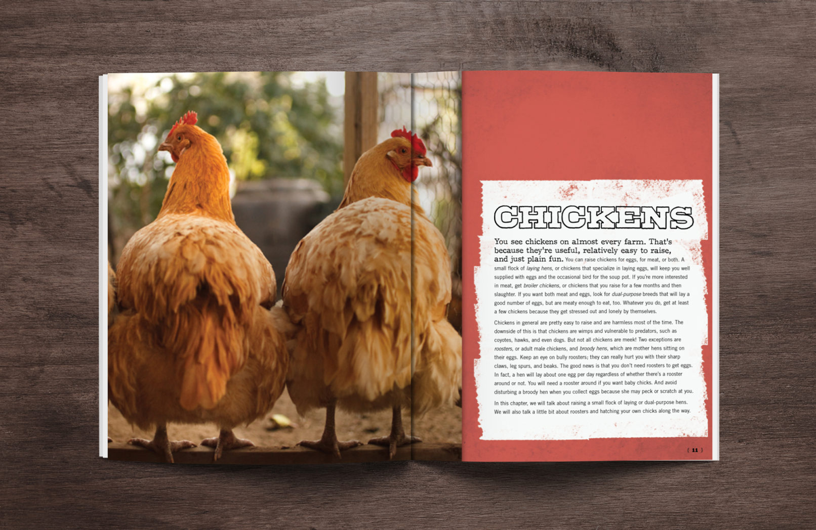 Barnyard kids book design by mattie wells